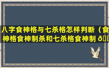 八字食神格与七杀格怎样判断（食神格食神制杀和七杀格食神制 🐼 杀）